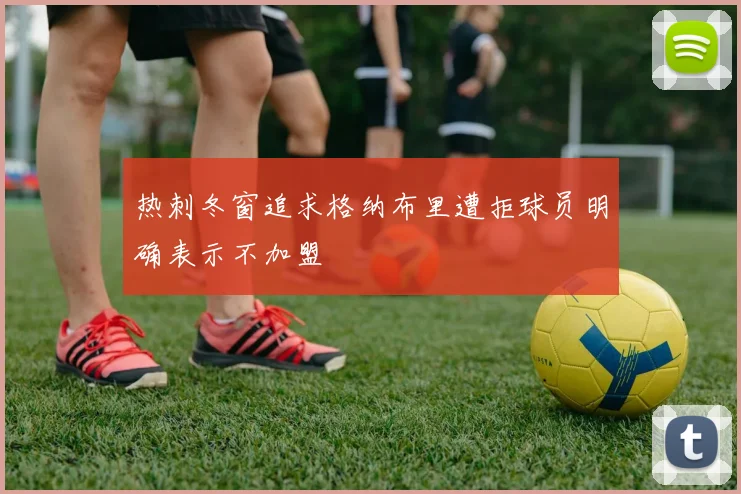 热刺冬窗追求格纳布里遭拒球员明确表示不加盟
