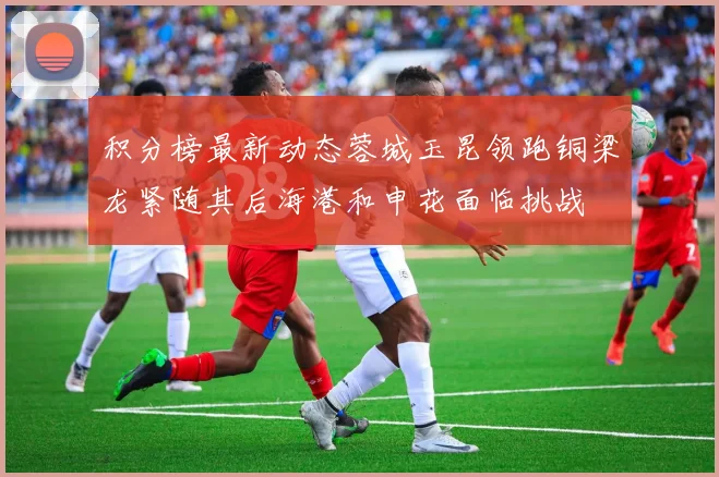 积分榜最新动态蓉城玉昆领跑铜梁龙紧随其后海港和申花面临挑战