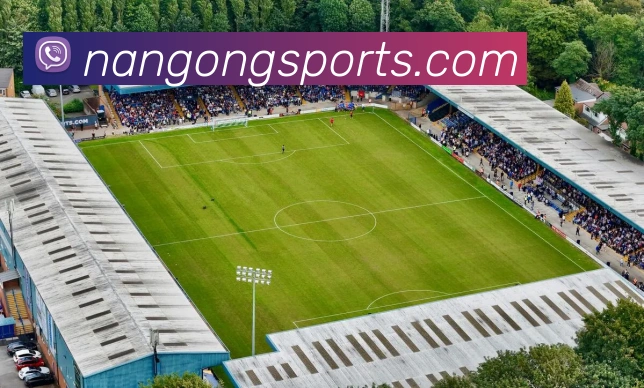 App Interface Preview