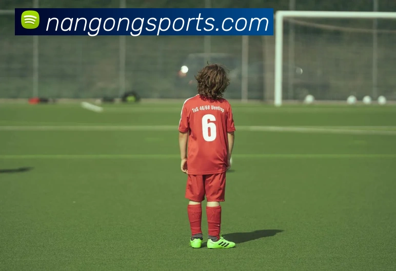 南宫体育APP 封面图